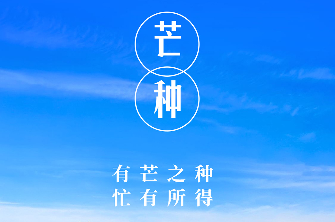 芒种