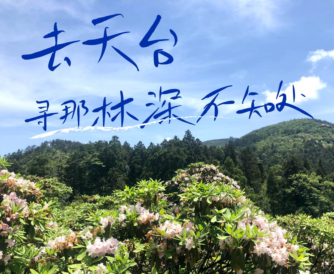 华迅天台团建