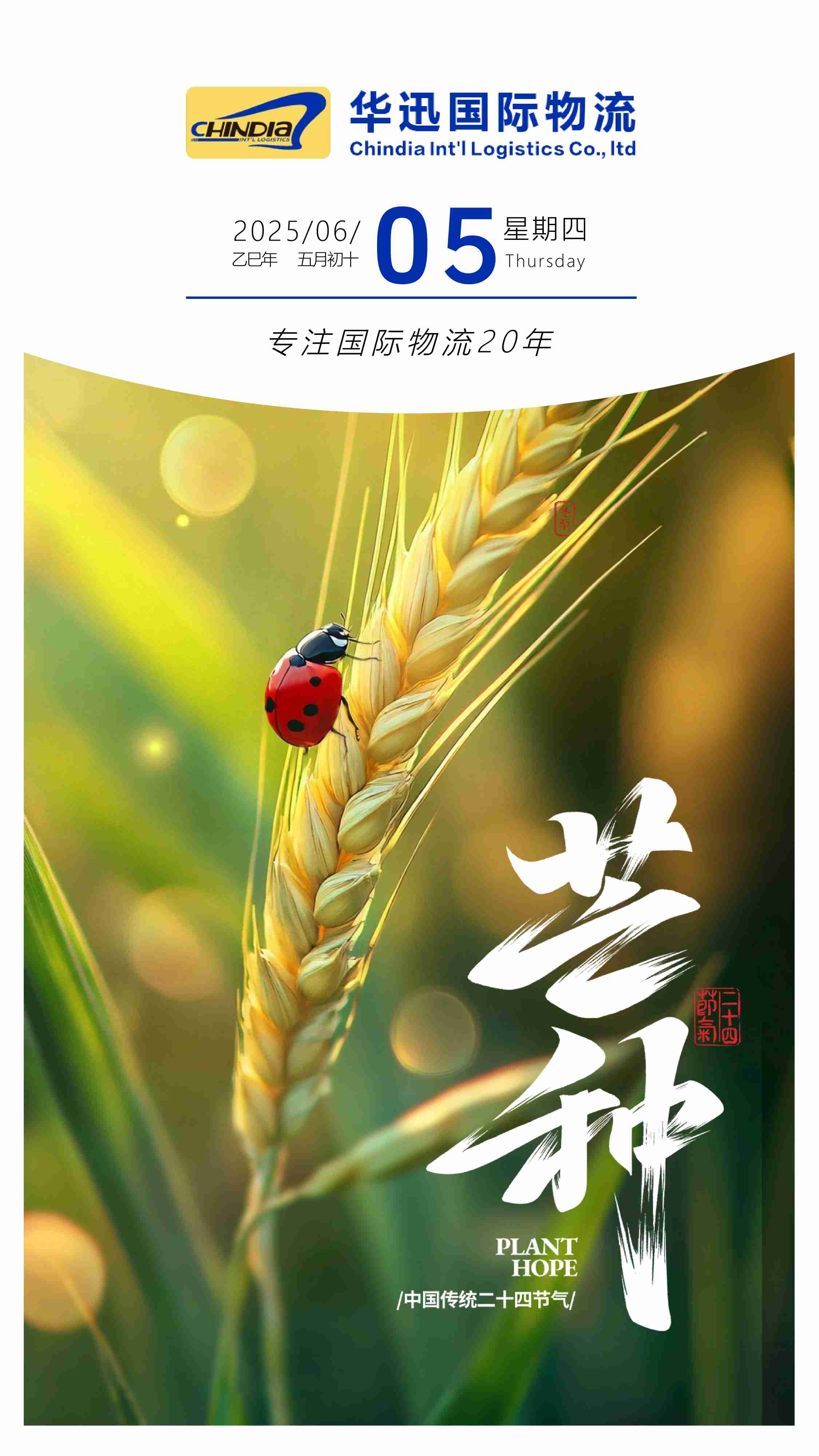 芒种